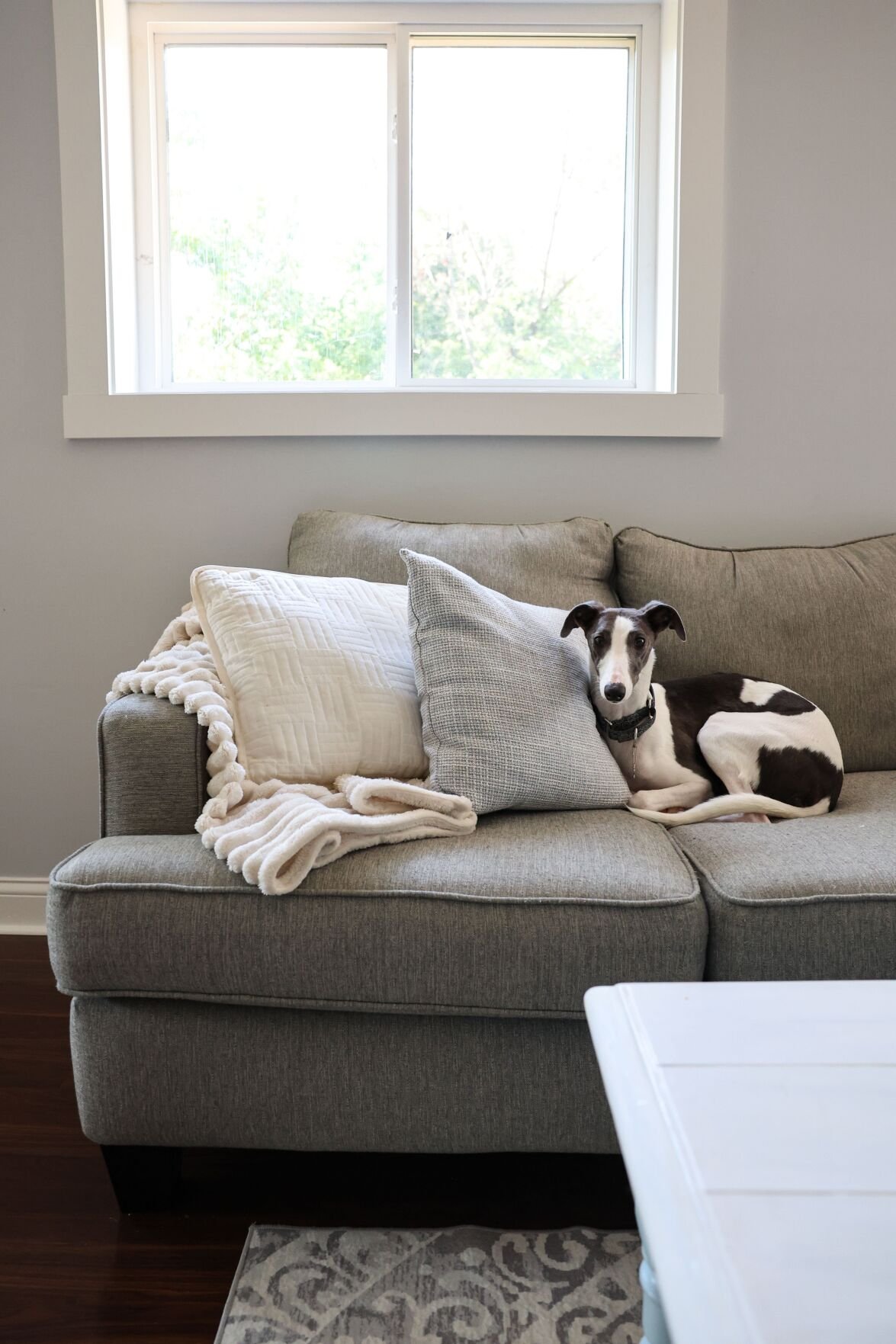 At Home with Cara Katzen